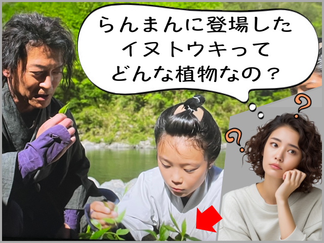 NHK連続テレビ小説らんまんの第９話で登場したイヌトウキとはどんな植物なのか悩む女性